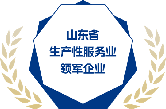 山东省生产性服务业领军企业