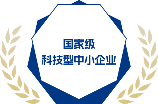 国家级科技型中小企业