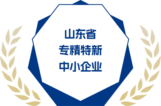 山东省专精特新中小企业